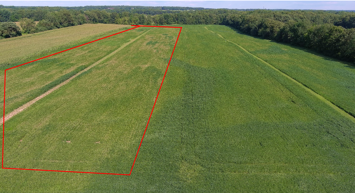 Aerial image of a field with heavy soybean sudden death syndrome.